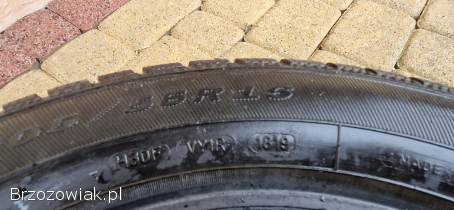 Opony zimowe Dębica Frigo 2 -  205/55/16 -  4 szt