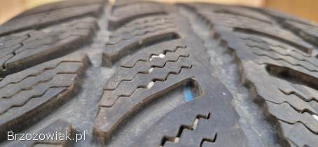 Opony zimowe Dębica Frigo 2 -  205/55/16 -  4 szt