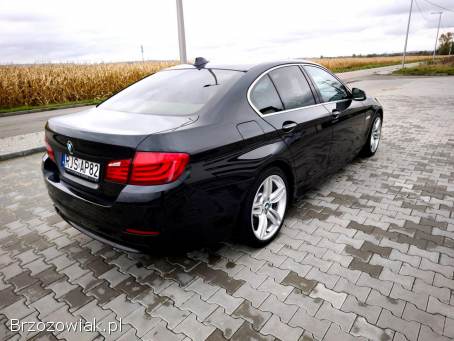 BMW Seria 5 Salon PL  2011