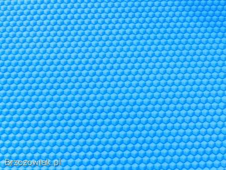 Sprzedam Praskę do Węzy Pszczelej Wielkopolskiej