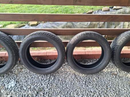 Opony zimowe 215/55/18