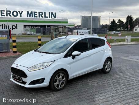 Ford Fiesta Zadbana 2017