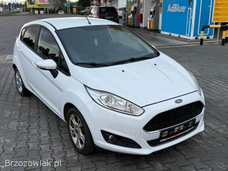 Ford Fiesta Zadbana 2017
