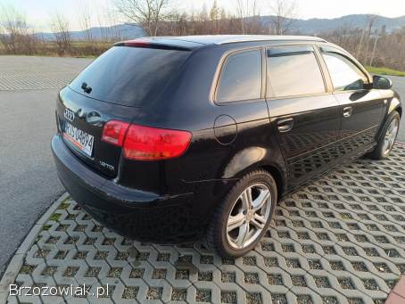 Audi A3 8p 1.  9tdi 5drzwi 2007