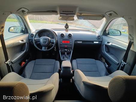 Audi A3 8p 1.  9tdi 5drzwi 2007