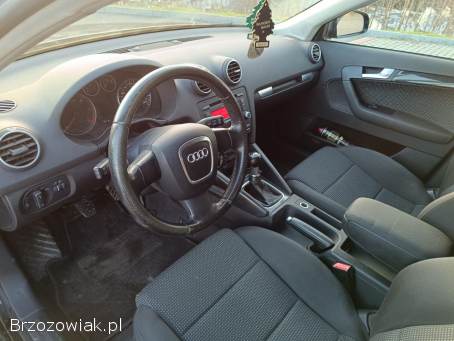 Audi A3 8p 1.  9tdi 5drzwi 2007