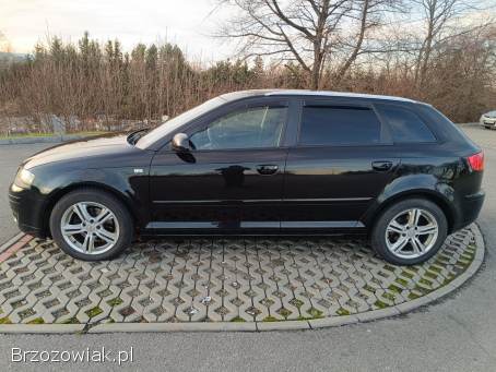 Audi A3 8p 1.  9tdi 5drzwi 2007