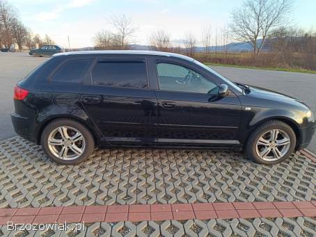 Audi A3 8p 1.  9tdi 5drzwi 2007