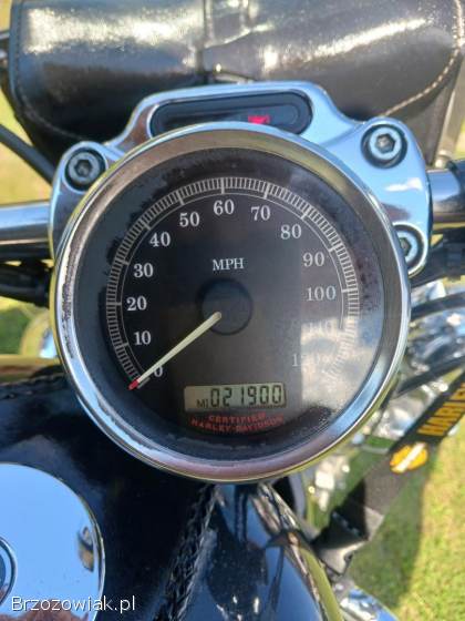 Harley-Davidson Sportster Super stan  2006