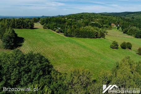 Widokowa działka budowlana z WZ 37a -  KOMBORNIA