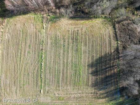 Działka budowlana w spokojnej części Jedlicza