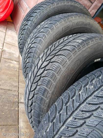 Opony zimowe Dębica Frigo 2