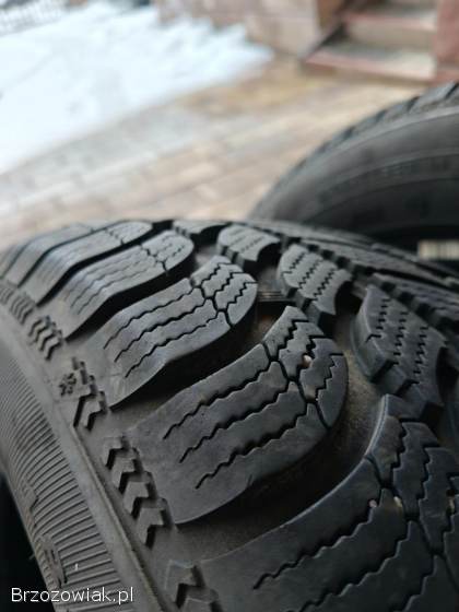 Opony zimowe Dębica Frigo 2