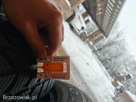 Opony zimowe Dębica Frigo 2