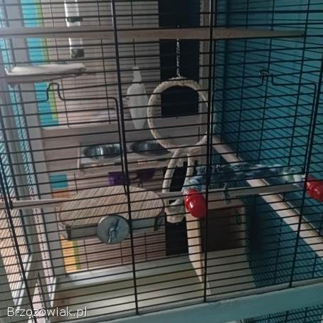 Drewniana klatka dla ptaków