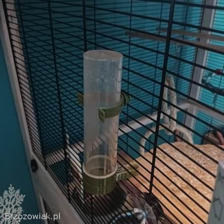 Drewniana klatka dla ptaków