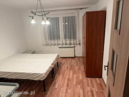 Do wynajęcia mieszkanie 60–70 m²