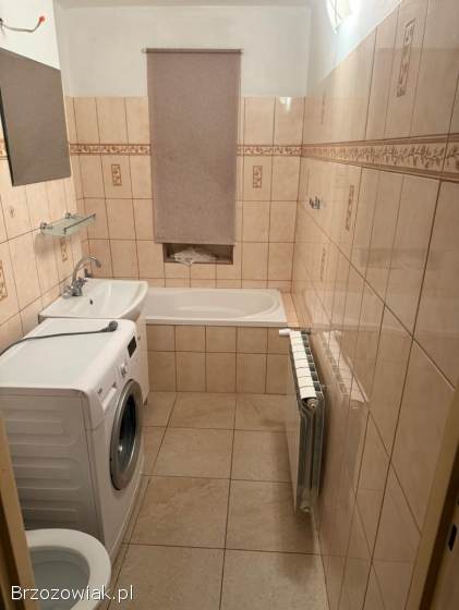 Do wynajęcia mieszkanie 60–70 m²