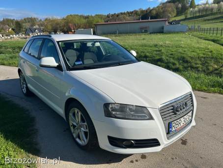 Audi A3 8P 2009