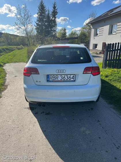 Audi A3 8P 2009