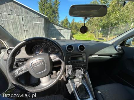 Audi A3 8P 2009