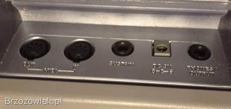 Keyboard Casio LK-110