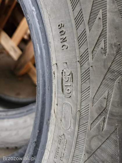 Opony zimowe NOKIAN WR SUV4 225/60 R18