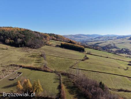 Sprzedam działkę Brzezowa