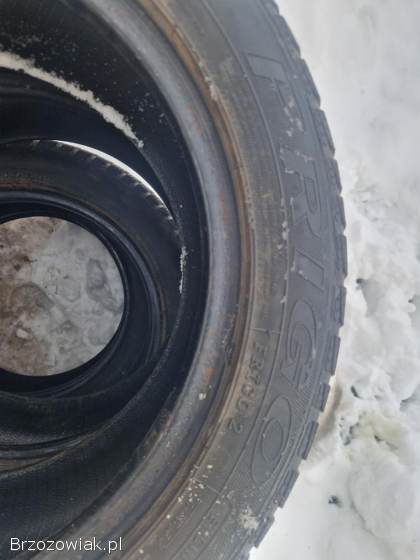 Dębica Frigo 2 205/55 R16