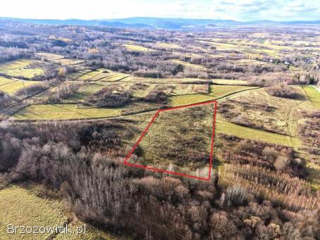 Widokowa działka Makowiska 82 ar