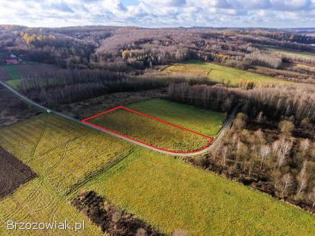 Sprzedam działkę Sieklówka