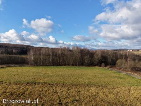 Sprzedam działkę Sieklówka