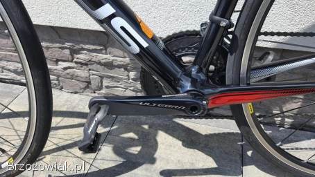 Rower Focus Izalco Race roz.  L