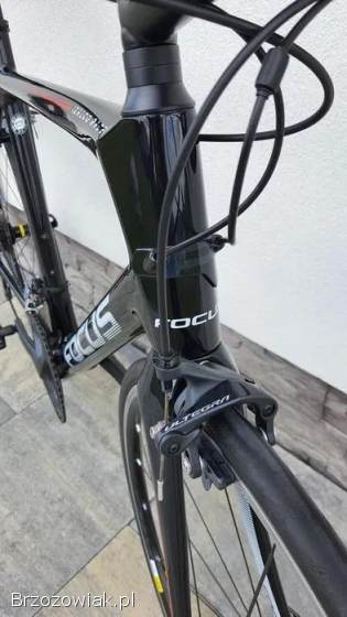 Rower Focus Izalco Race roz.  L