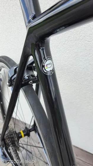 Rower Focus Izalco Race roz.  L