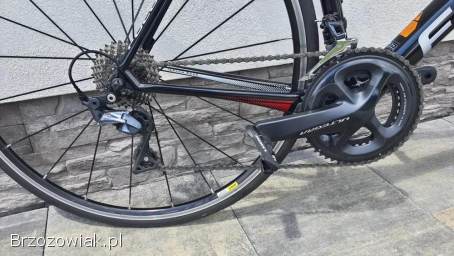 Rower Focus Izalco Race roz.  L