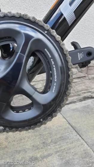 Rower Focus Izalco Race roz.  L