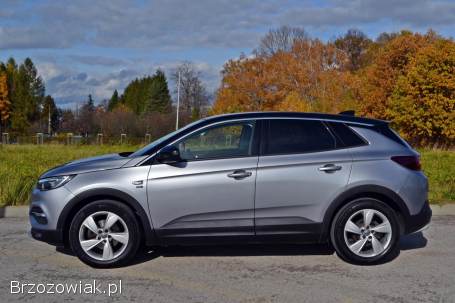 Opel Grandland X 2020