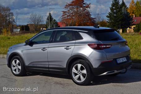 Opel Grandland X 2020