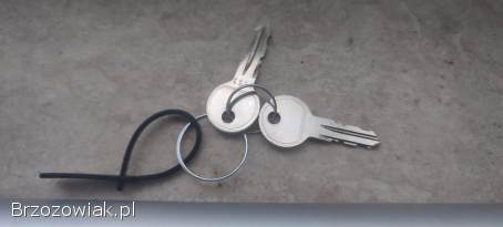 Oryginalne belki w relingi Ford Focus MK2.