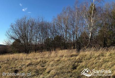 Działka rolna Kuźmina