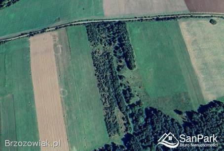 Działka rolna Kuźmina