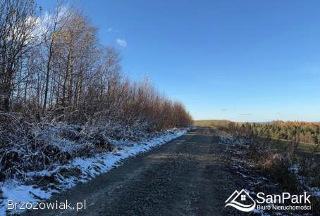 Działka rolna Kuźmina