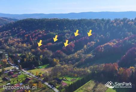 Duża działka inwestycyjna -  warunki zabudowy