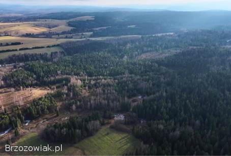 Sprzedam działkę -  Lipie