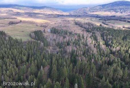 Sprzedam działkę -  Lipie