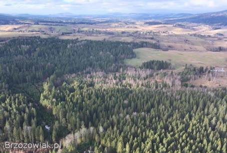 Sprzedam działkę -  Lipie