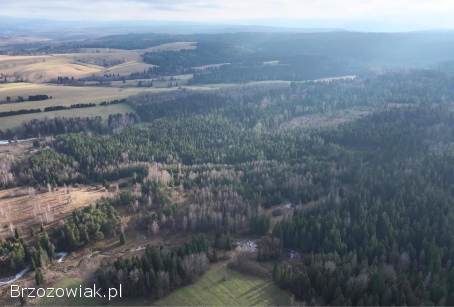 Sprzedam działkę -  Lipie