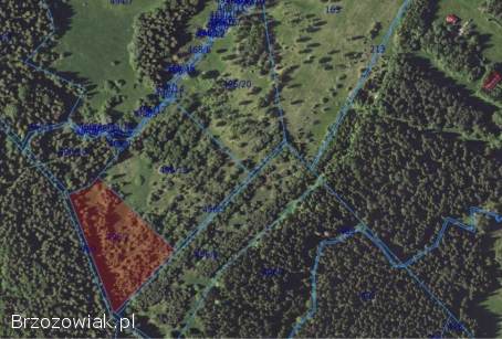 Sprzedam działkę -  Lipie