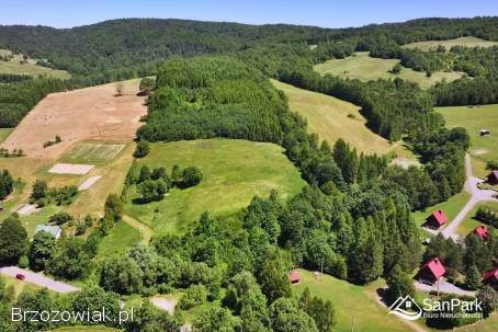 Działki budowlane -  Stężnica